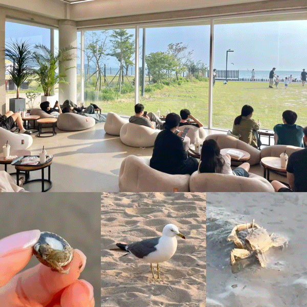 인천 영종도 카페 | 카페 미음, 오션뷰 대형카페·갯벌체험 아이동반 추천