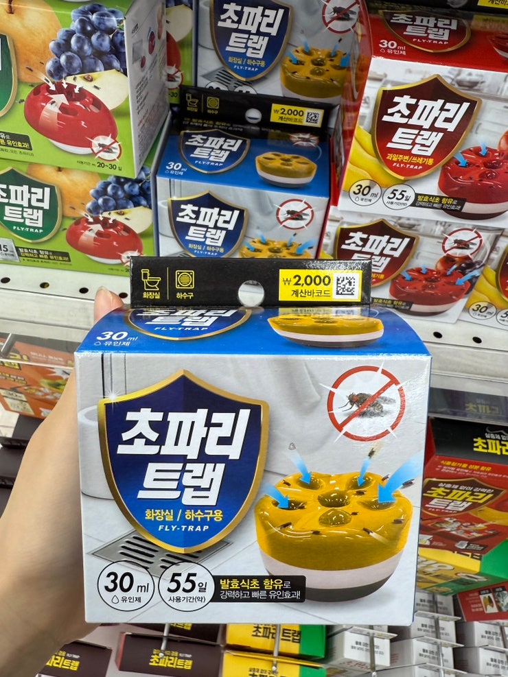 다이소 초파리트랩 추천 사용법 위치와 효과 좋은 제품 총정리