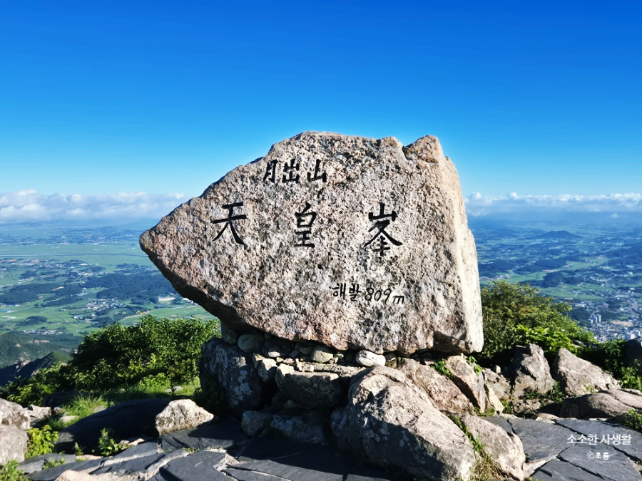 동락 사진 5