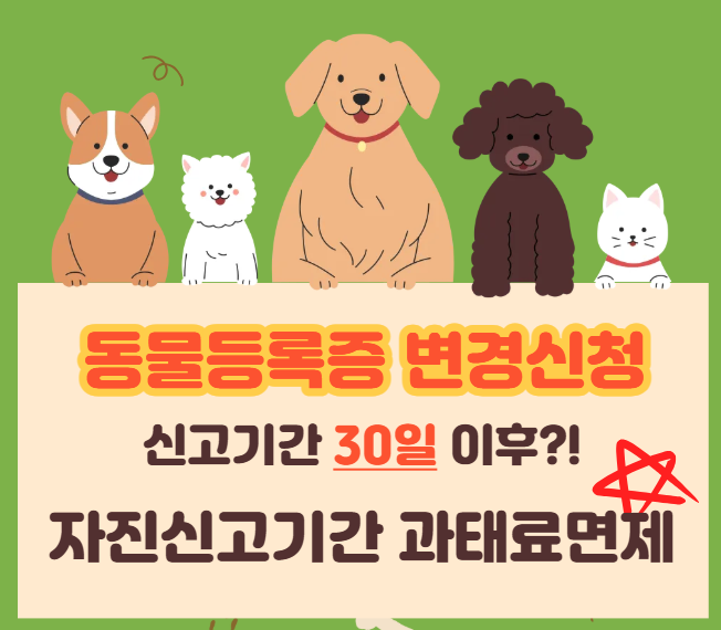 인터넷으로 반려견등록증 변경 동물등록증 강아지등록증변경신청 포숑신분증재발급하기
