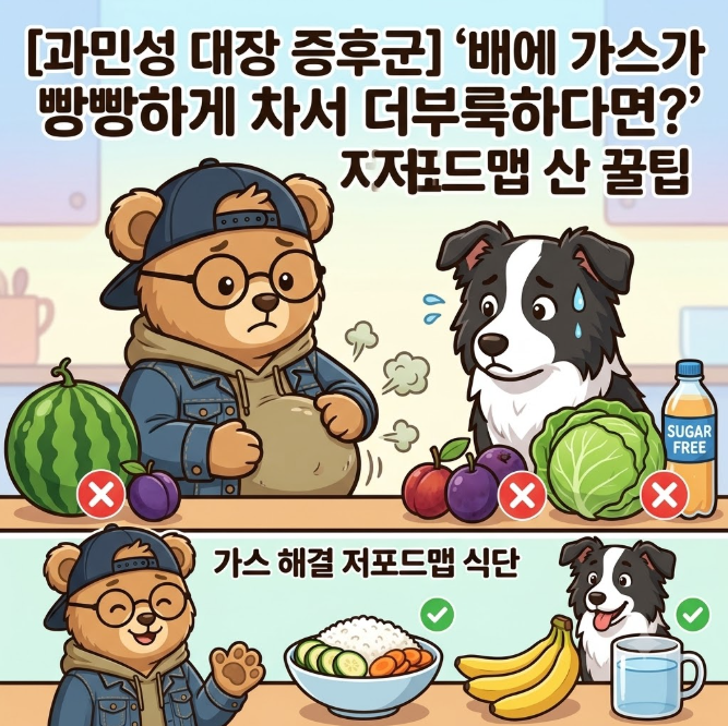 [과민성 대장 증후군] "배에 가스가 빵빵하게 차서 더부룩하다면?" 저포드맵 식단 꿀팁