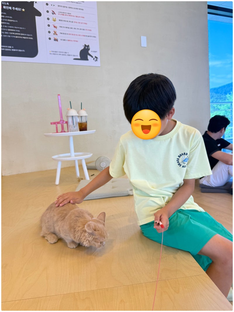 기장 고양이 카페 아벤트 강아지와 고양이와 함께하는 힐링스팟