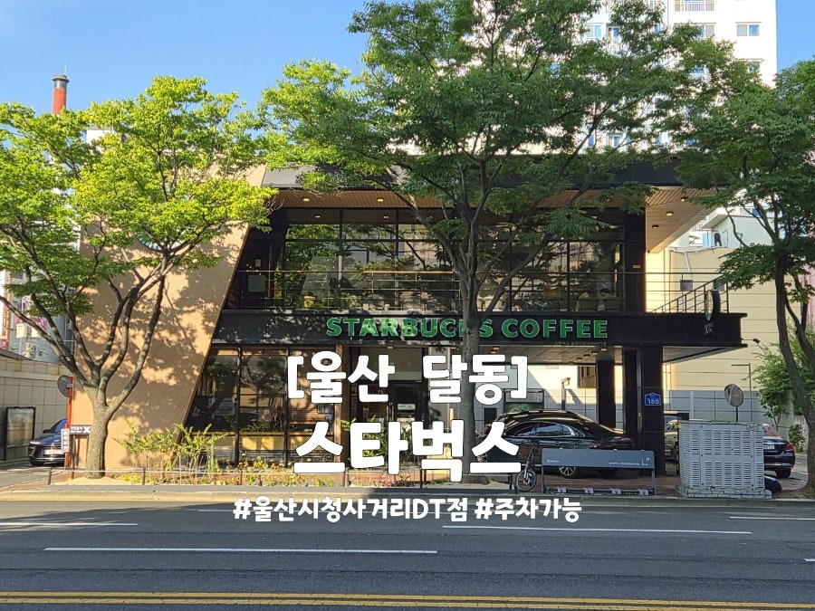 스타벅스 울산시청사거리DT점 사진 1