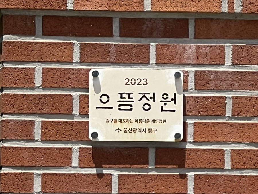 우딬 사진 3