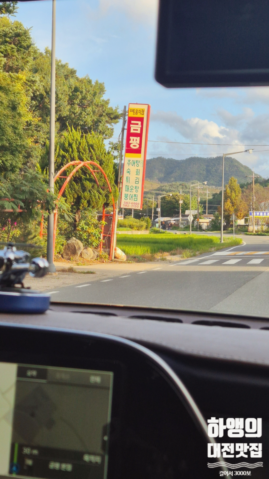 금평 사진 2
