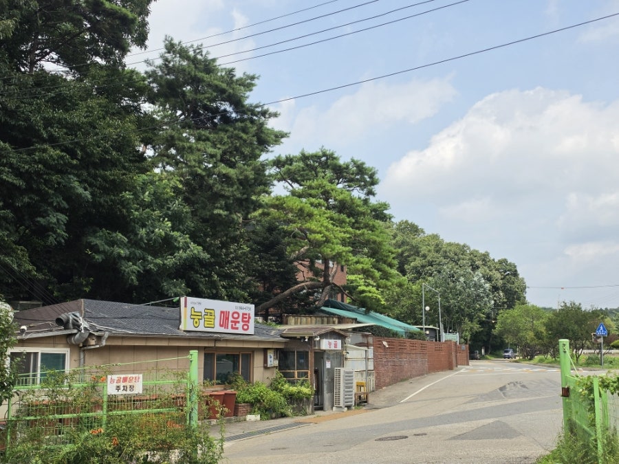 능골매운탕 사진 4