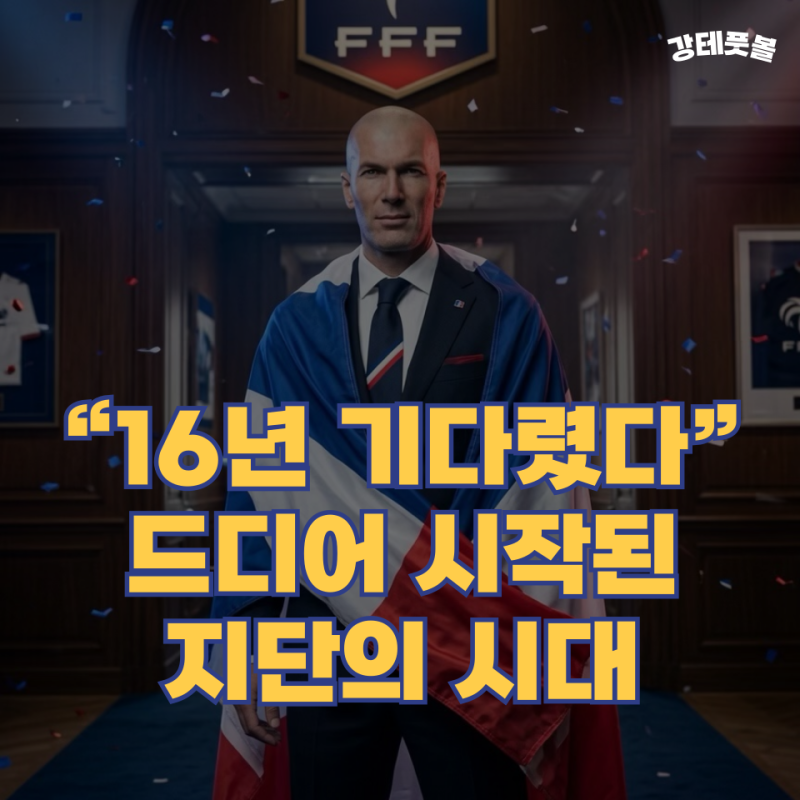 지네딘 지단, 프랑스 축구 대표팀 감독 확정