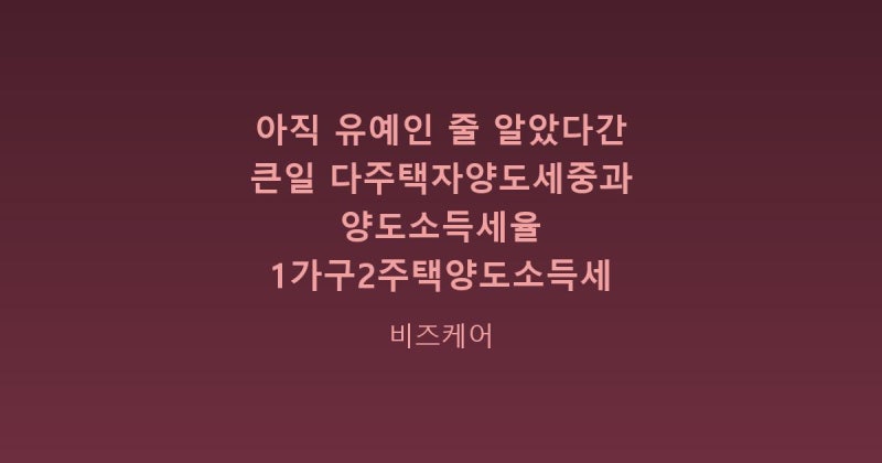 아직 유예인 줄 알았다간 큰일 다주택자양도세중과 양도소득세율 1가구2주택양도소득세