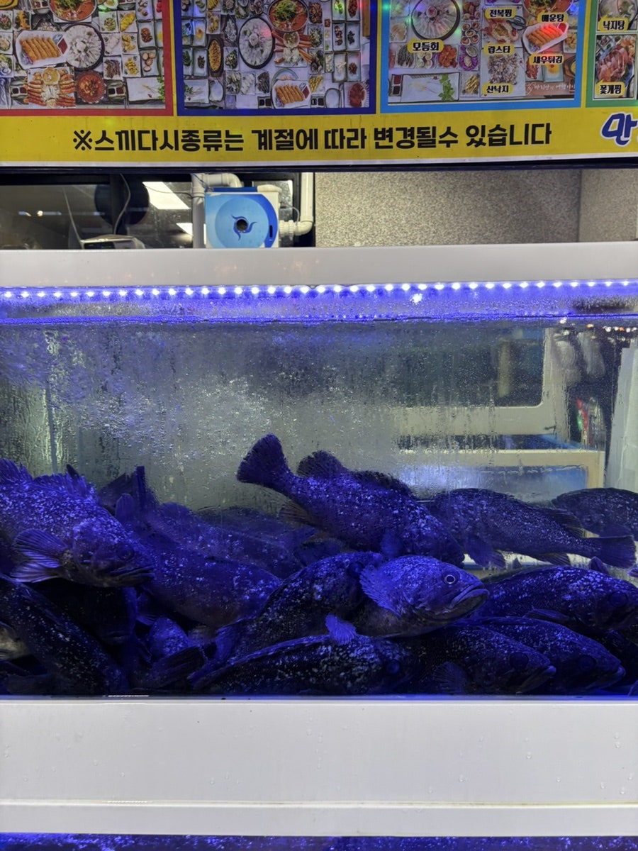 만리포횟집 사진 5