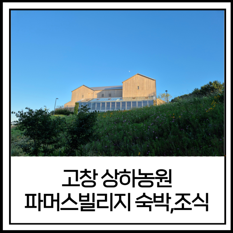 상하농원 파머스빌리지 아기랑 1박 후기, 예약팁, 조식 및 장단점 정리