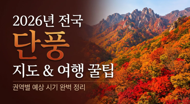 2026년 전국 단풍 시기 예년보다 늦어진 절정 예상 일정