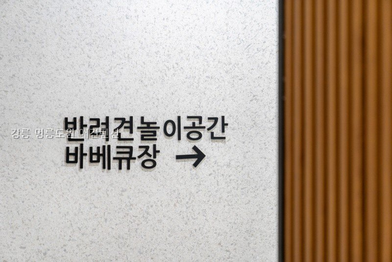 멍릉도원 사진 4