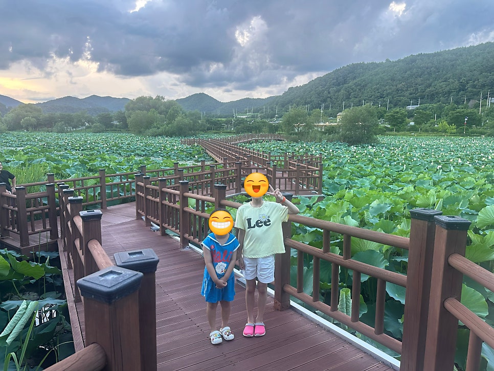 파대지 사진 5