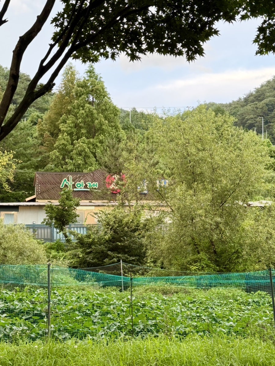 산아래 사진 2