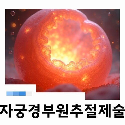 자궁경부 원추절제술 꼭 받아야 할까? 검사부터 회복