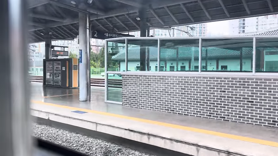 태동반점 사진 2
