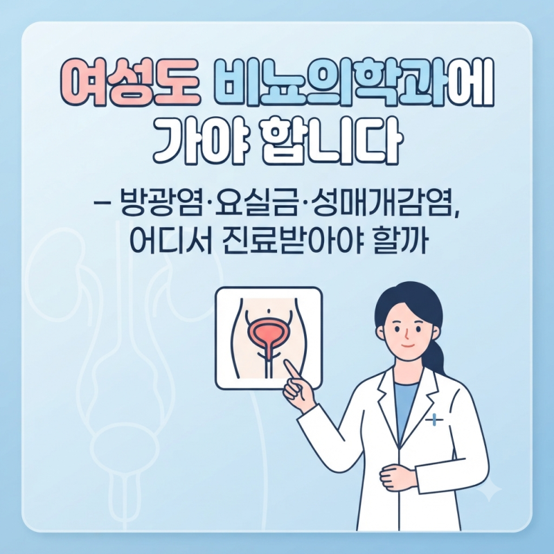 여성도 비뇨의학과에 가야 합니다 방광염·요실금·성매개감염, 어디서 진료받아야 할까