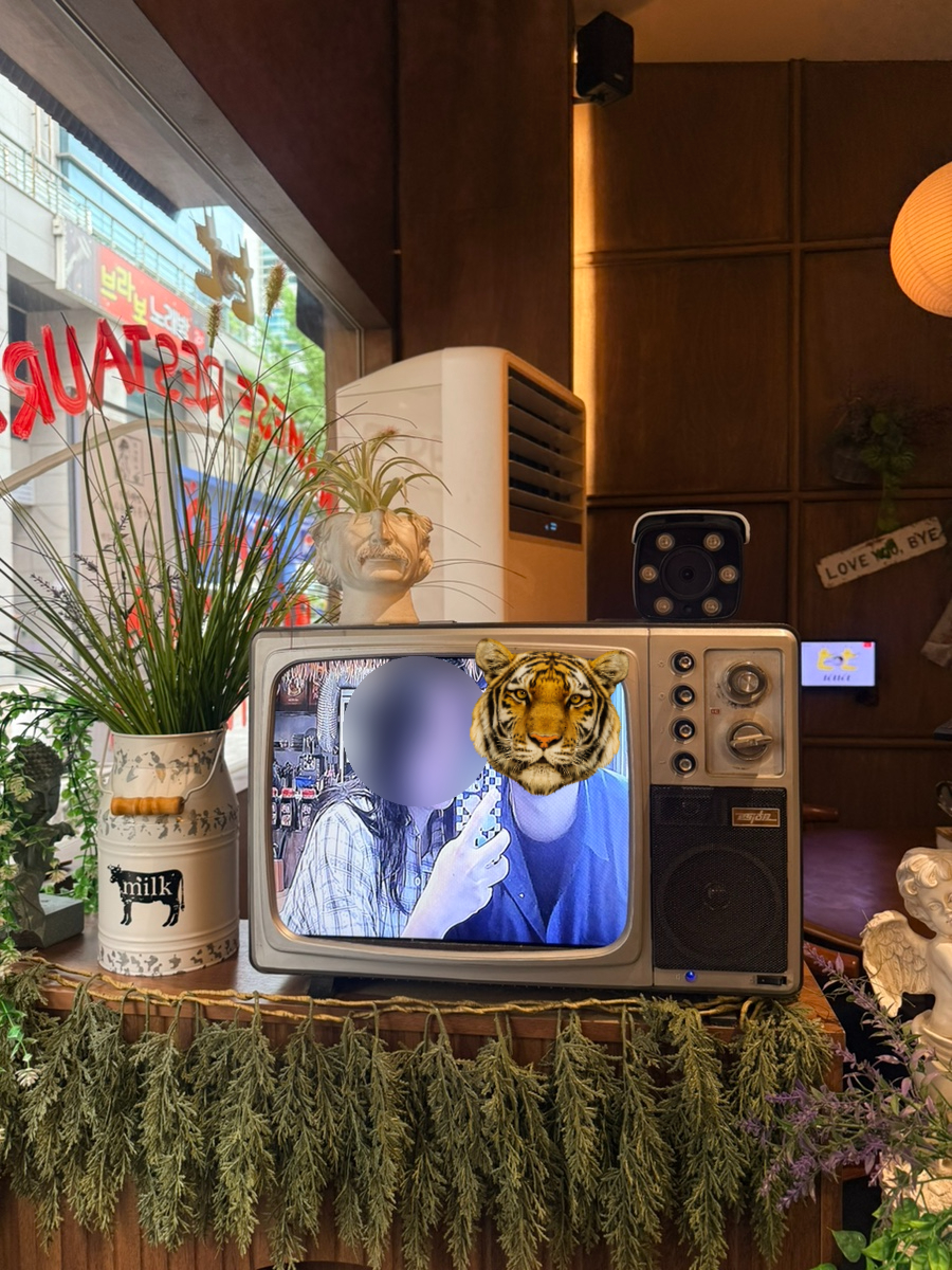 톳톳 사진 2
