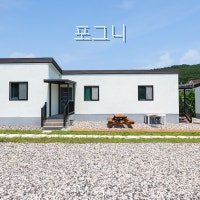 포그니 사진 2