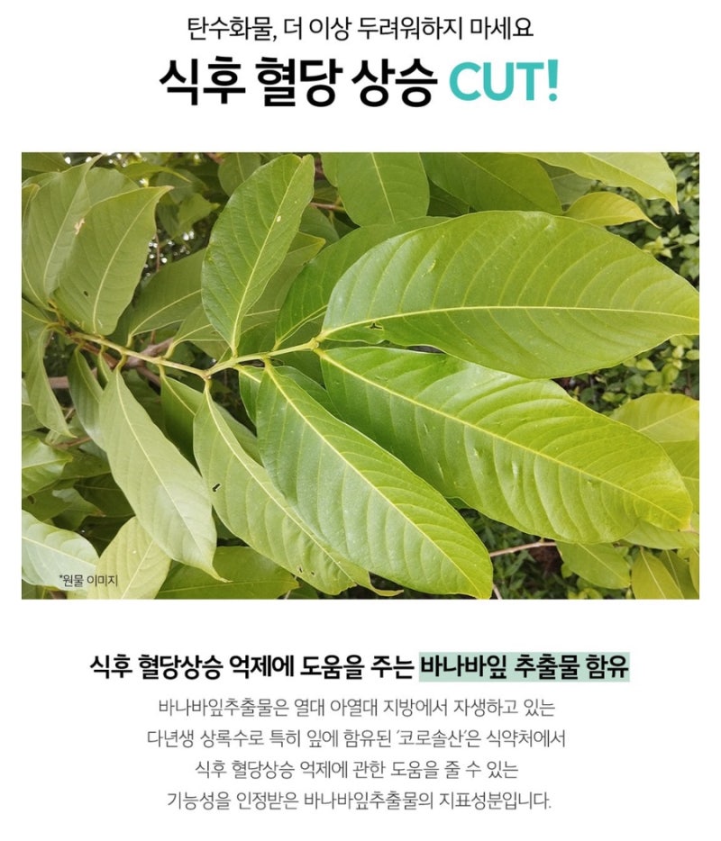 [청주뉴스킨] 당뇨병에 혈당엣지 왜 효과있을까?