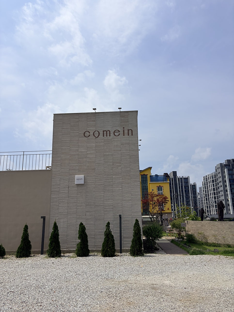 커민 사진 1