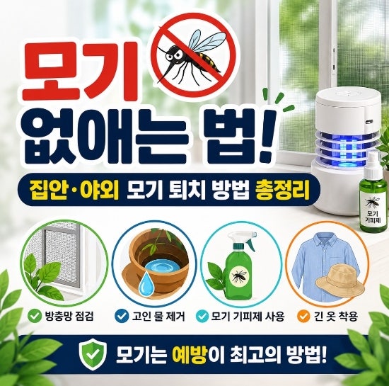 모기 퇴치 방법 총정리! 집안부터 야외까지 모기 없애는 법