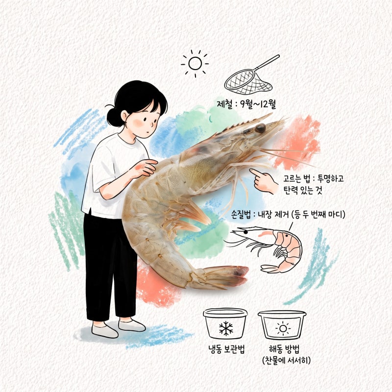 흰다리새우 제철과 고르는 법 손질과 내장 제거부터 냉동과 해동까지