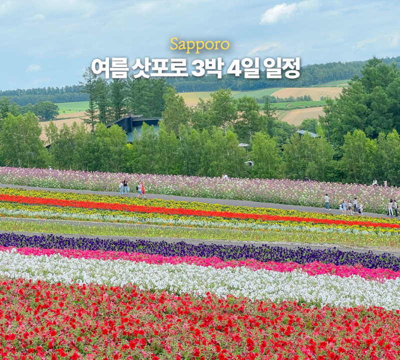 여름 8월 9월 삿포로 3박 4일 여행 일정 코스 비에이 투어