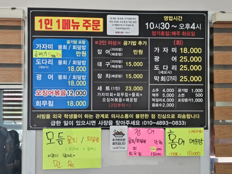 아로니아 사진 6
