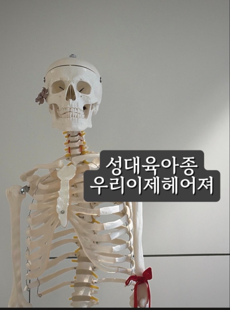 [서울, 30대] 성대육아종(성대용종,폴립) 스테로이드 직접 주사 치료 후기