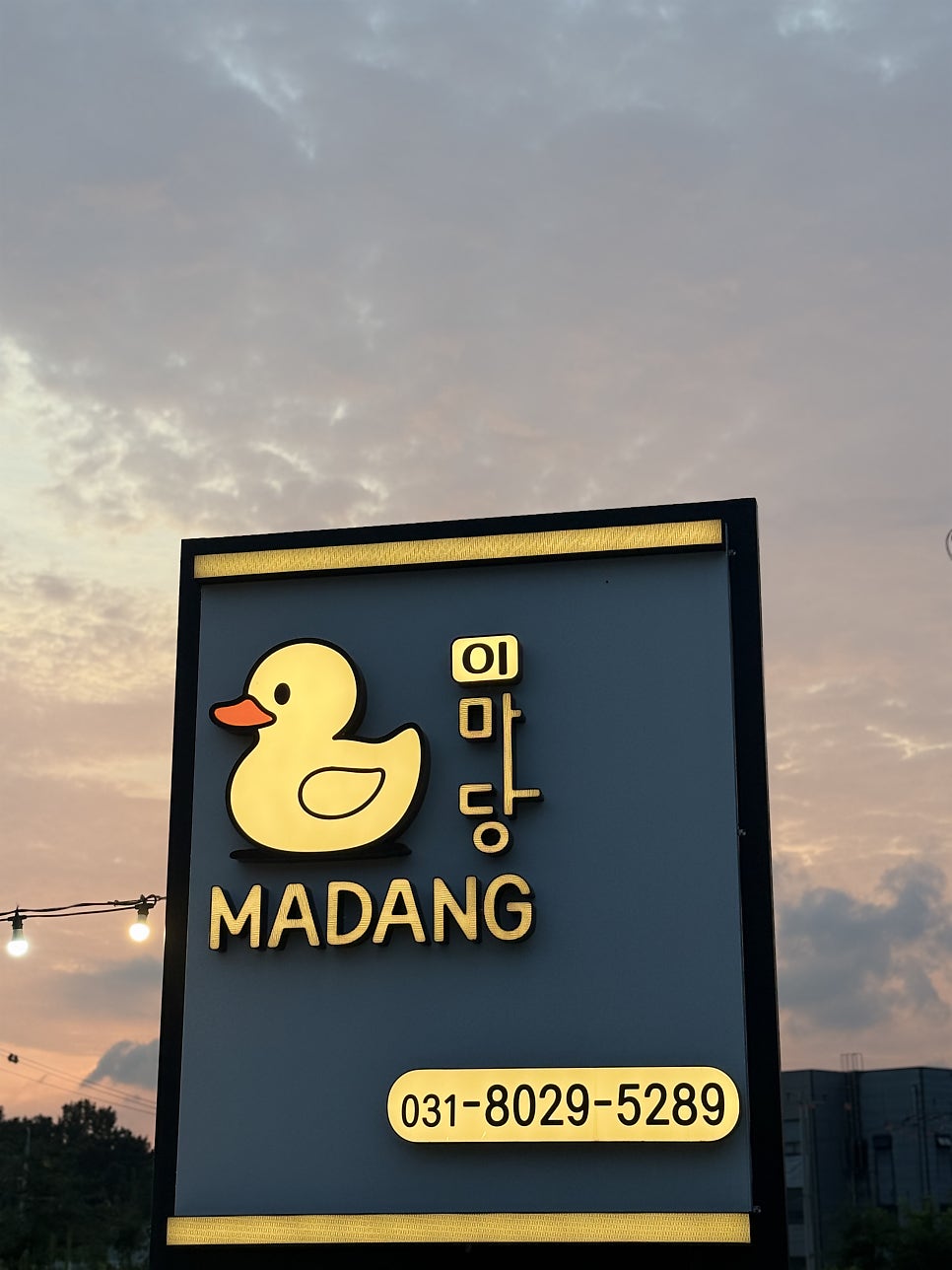 이마당 사진 2