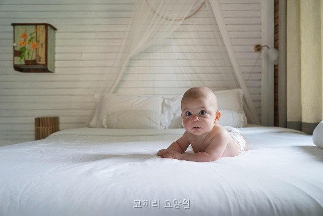 코끼리요양원 사진 4