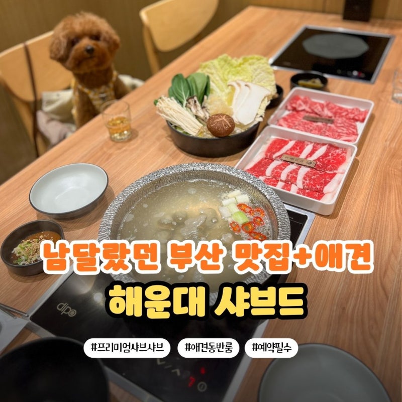 부산 여행 마지막 코스로 좋았던 애견동반 식당 해운대 샤브드