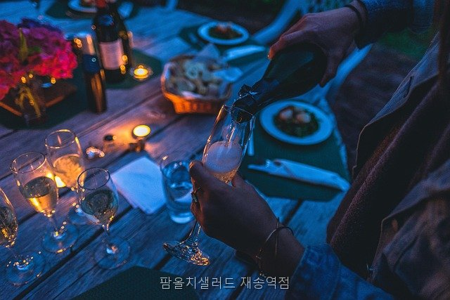 팜올치 사진 5