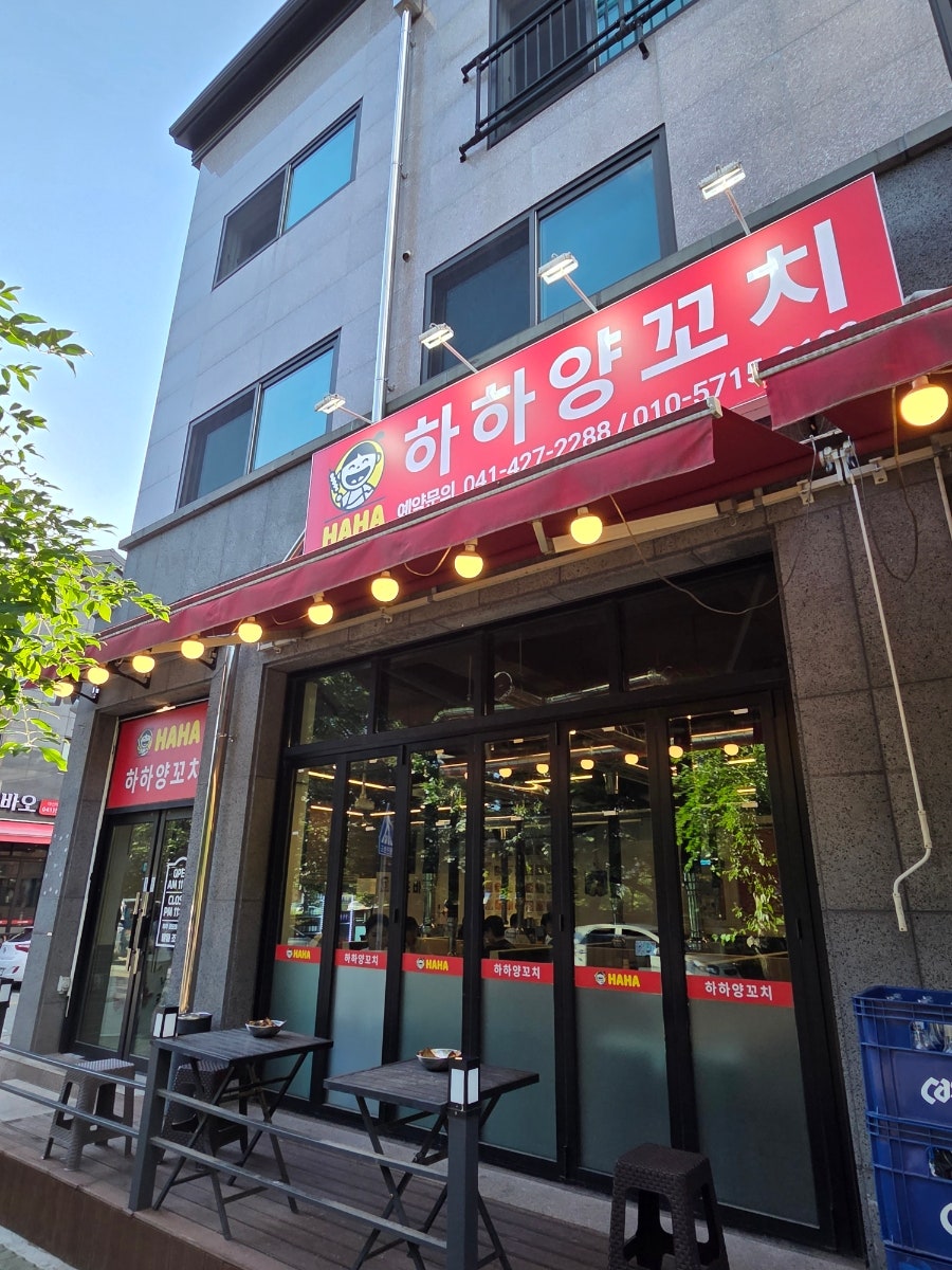 하하양꼬치 사진 3
