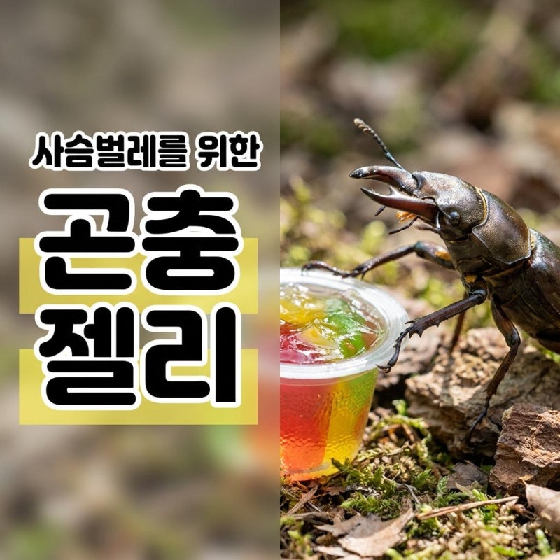 사슴벌레 먹이, 과일을 줘도 될까요? 의외로 위험한 음식도 있어요