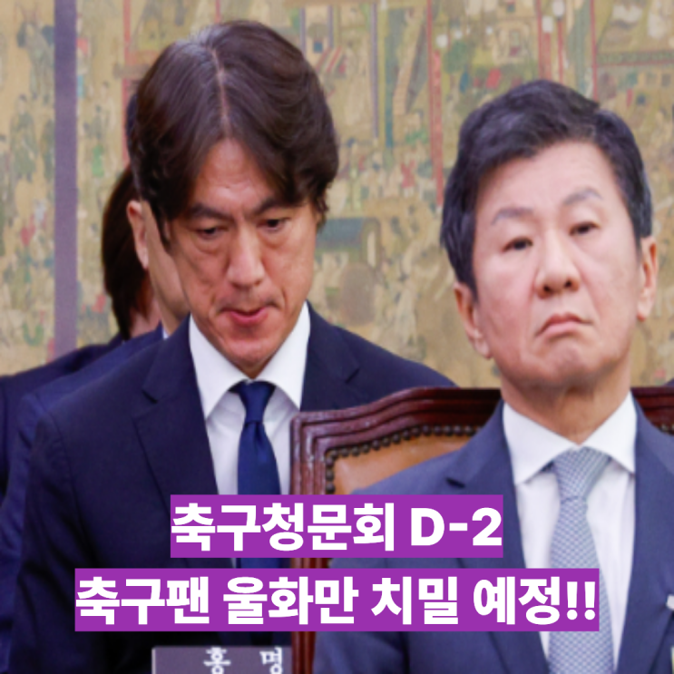 7월 30일 <b>축구협회 청문회</b>, 홍명보를 독단적으로 선임한 이임생... 