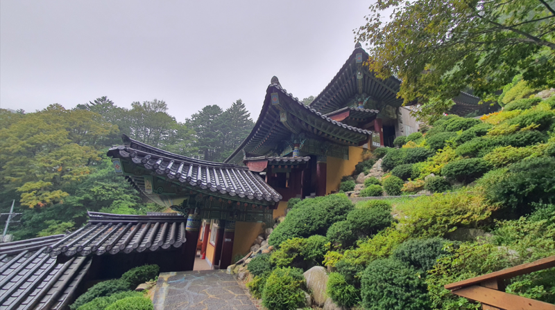 [1일2산] 강원 평창 오대산 "노인봉, 비로봉" 최단코스