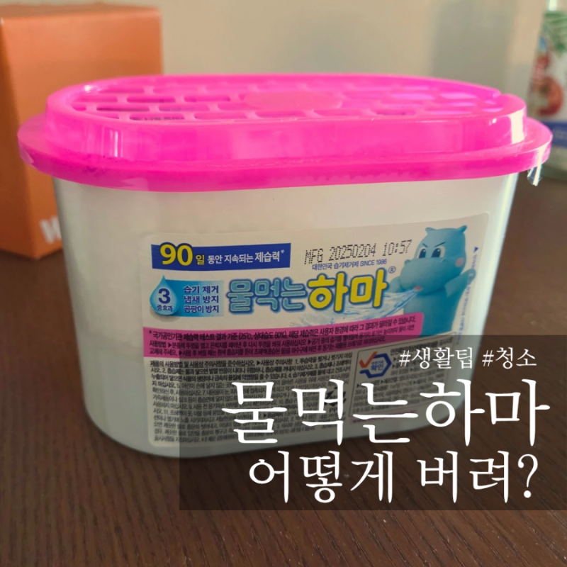 생활팁 다 쓴 물먹는하마 그냥 버리면 될까? 올바른 처리 방법 물먹는하마 버리는 법