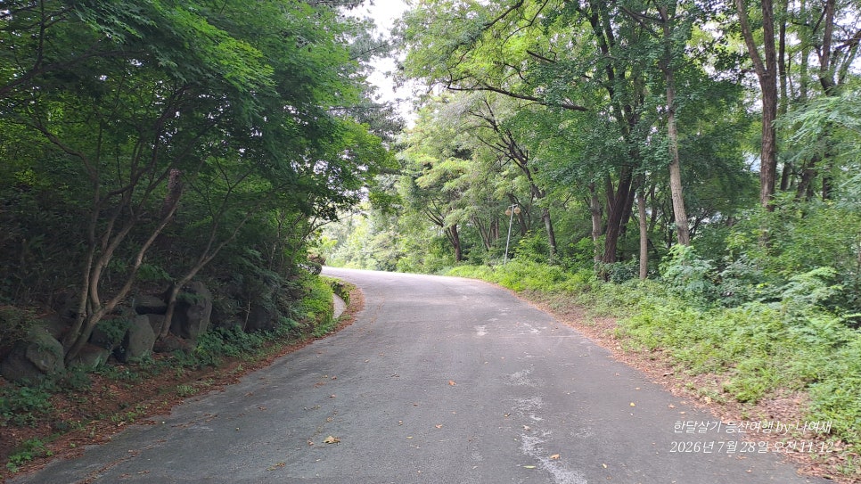 적보산 사진 6