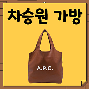 차승원 가방 숄더백. 산골총각 영웅 브라운 아페쎄 A.P.C. 토트백. 빅 백 들고 모델 포스!