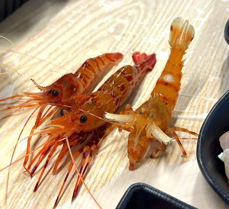 가격은 사악하지만 울릉도 갔다면 필수! 약소구이부터 독도새우까지 플렉스 한 찐후기