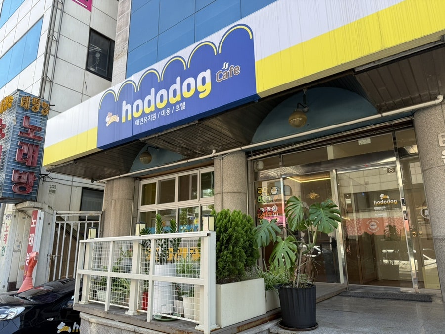 Hododok photo 4