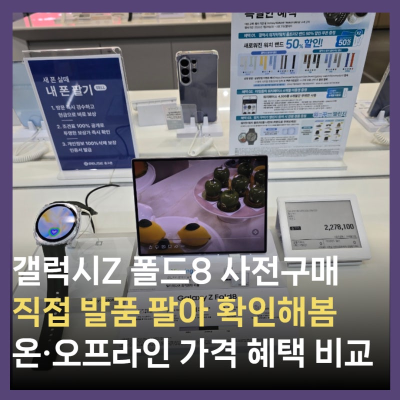 갤럭시Z 제트폴드8 일반형 오프라인 실물 확인 후기! 울트라와 크기 비교 및 사전예약 혜택 ....