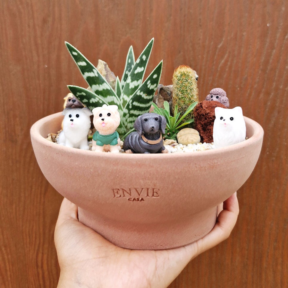 아프리카 사진 1