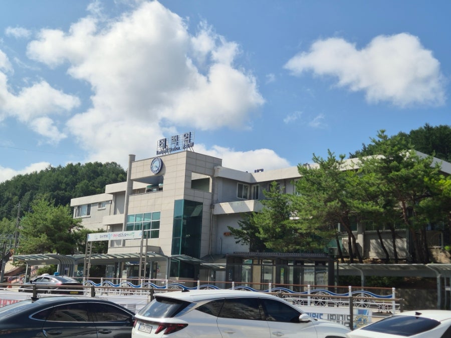 태백육개장 사진 2