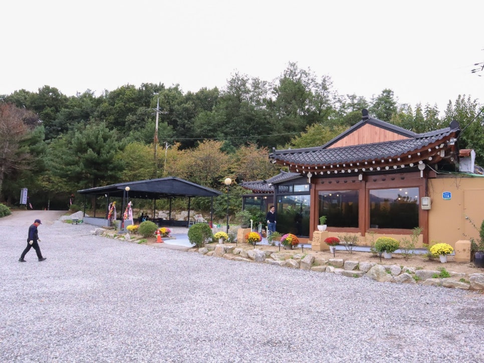 들꽃 사진 3