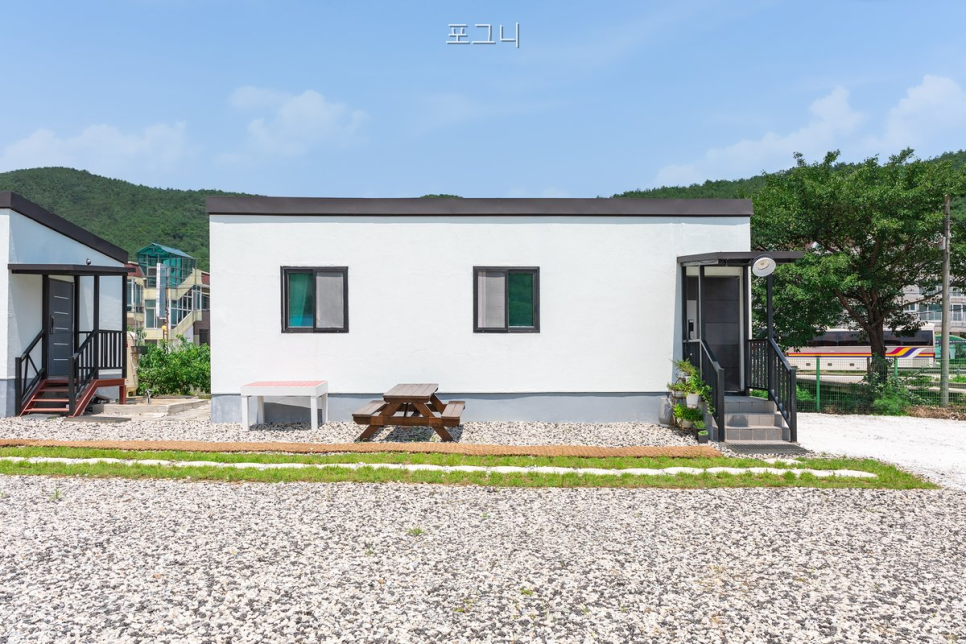 포그니 사진 4