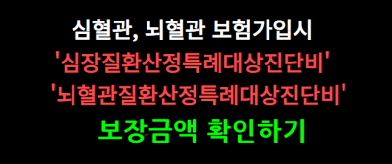 [산정특례제도]중증질환자(심장질환/뇌혈관질환)산정특례대상진단비(연간1회한) 보험가입 ....