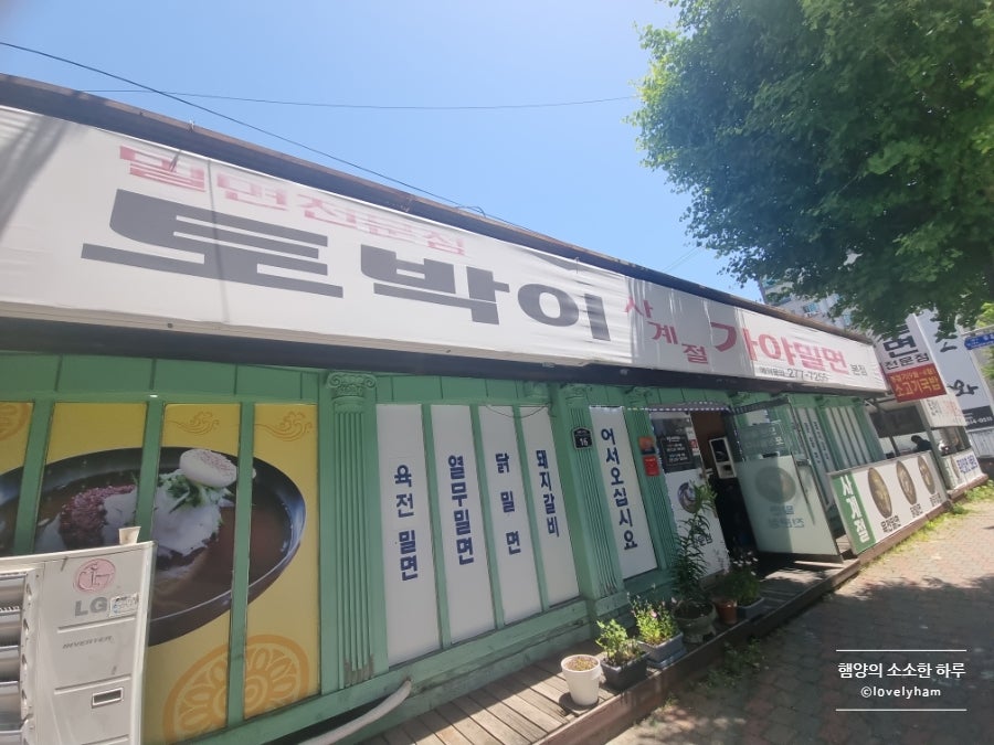 토박이사계절가야밀면 본점 사진 2